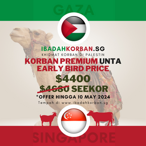 Korban | 1 x Unta | Gaza, Palestin